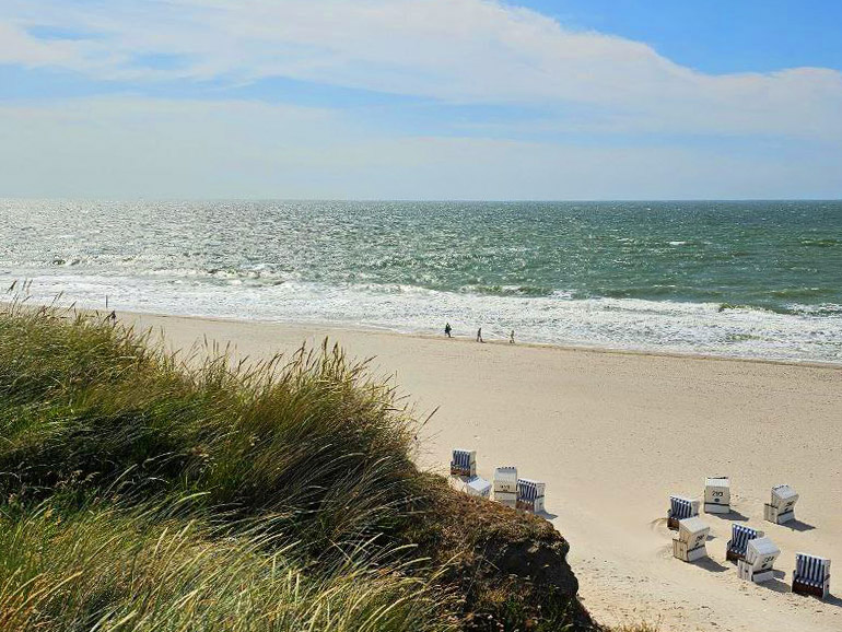 sylt1
