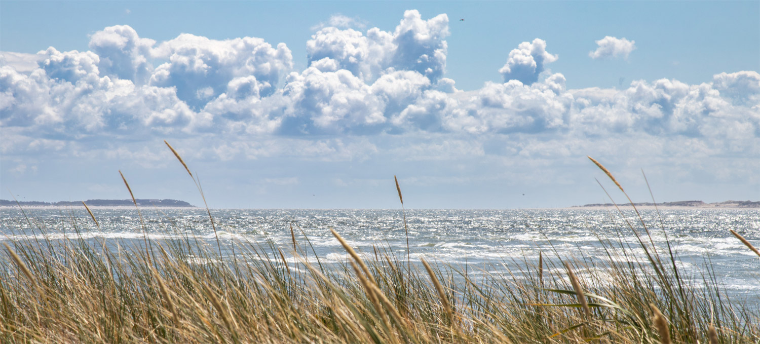 strand-gras2